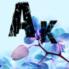 A.k  Technical