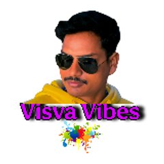 Visva Vibes