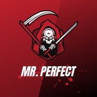 Mr.Perfect