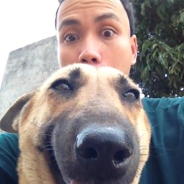 Farmer Family and Cute Animals