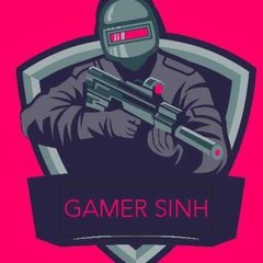 gamer sinh