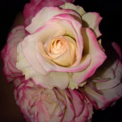 dm_9bf5874339aeb4ff327e330a4a66e18f