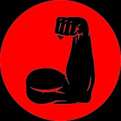 Bodybuilding LLC