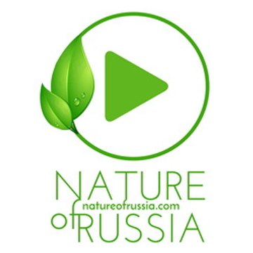 Релакс с Природой России