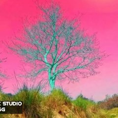 MOVIE STUDIO 5G