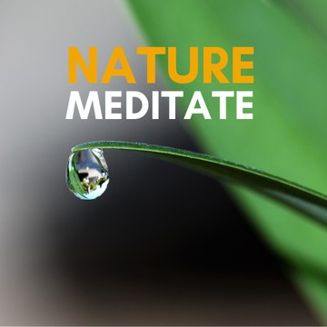 Nature Meditate