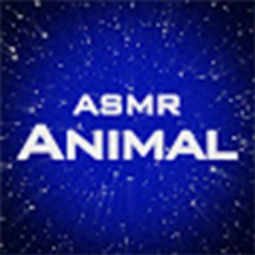 Animal ASMR World