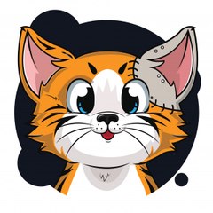 Cat Cats Funny