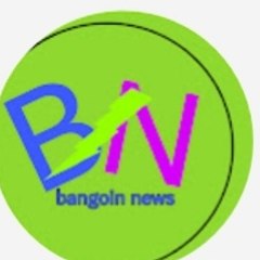 technical guru bangoin