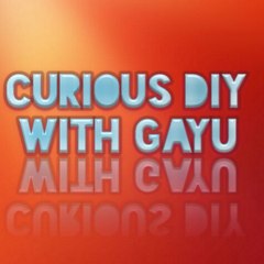 Curious DIY with Gayu