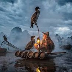 PIVOTT Media Partner