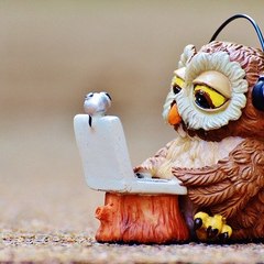 Technical Eagle