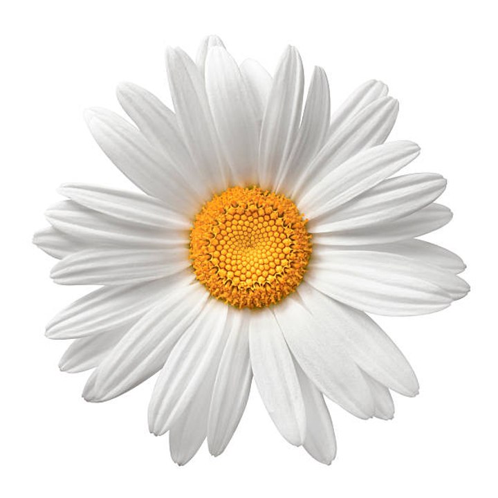 Dailymotion profile picture for @Flora
