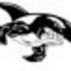 whaleoil