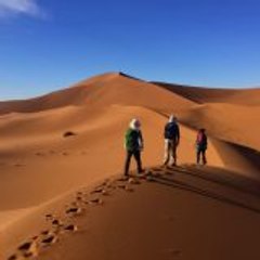 DAILY NEWS  -   أخبار يومية