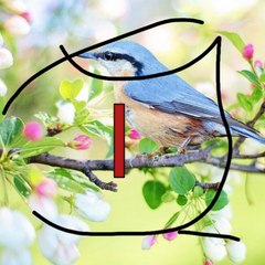 Music from the hearth