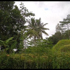 Babahak Channel