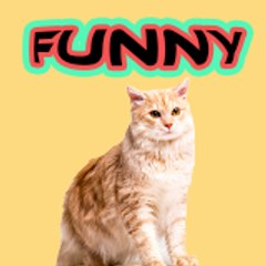 Funny