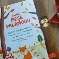 Emila Hikaye Dünyası