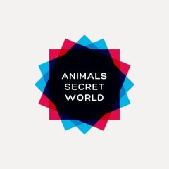 Animal Secret World