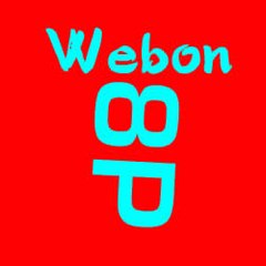 WebOn 8P