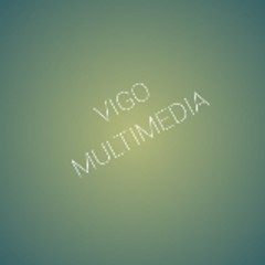 vigo multimedia