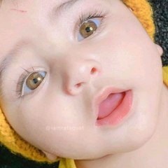 Everything you want is here