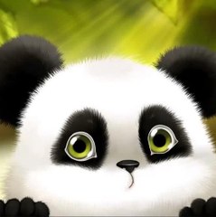 Panda Entertainment