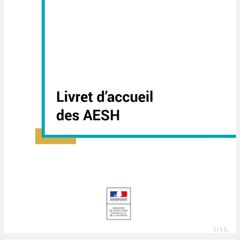 AESH Accompagnant élèves situation handicap