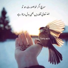 muhammad asim