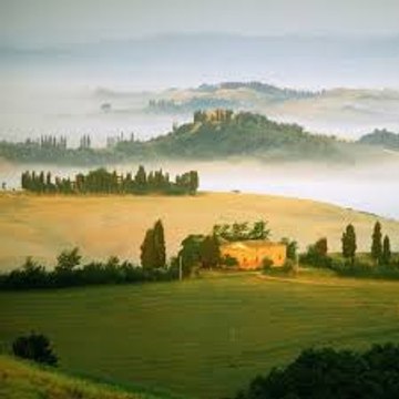 Youtube バラエティ