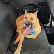 Zé doído posta tudo