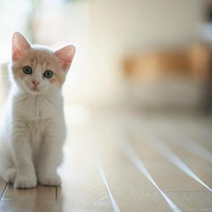 Entertainment is all about