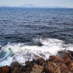 wavelet