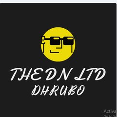THE DN LTD