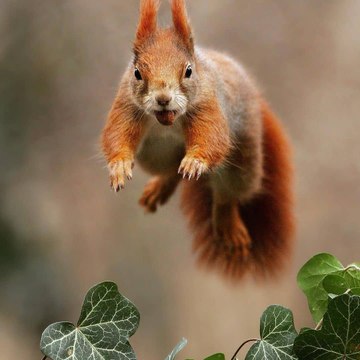 dailymotion filmy station dailymotion