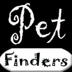 Petfinders | Kitten Meow