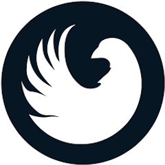VidMotion