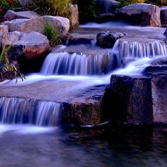 Mian Zain Ul Abideen