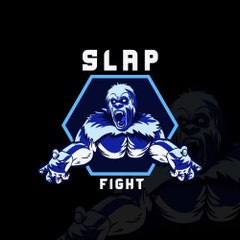 SLAP FIGHT