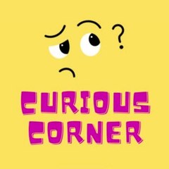 Curious Corner