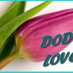 DODO_MEDIA