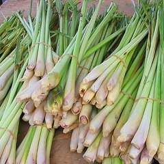 dm_ee76b72d3a77a4484323e84799d556f7