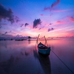 Beautiful Landscapes