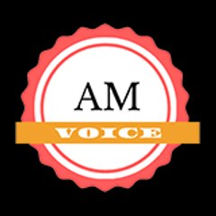 Adil Meo Voice