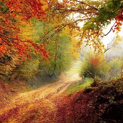 Nature Meditation