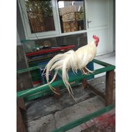 dm_c1536f5500c6dc5f29620ee2ec7c8ae5