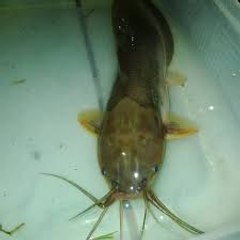 dm_b104a68ab47415f7a16263788fee9c25