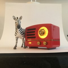 radio ZEBRA