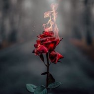 Bangladeshi Fahim Vlog